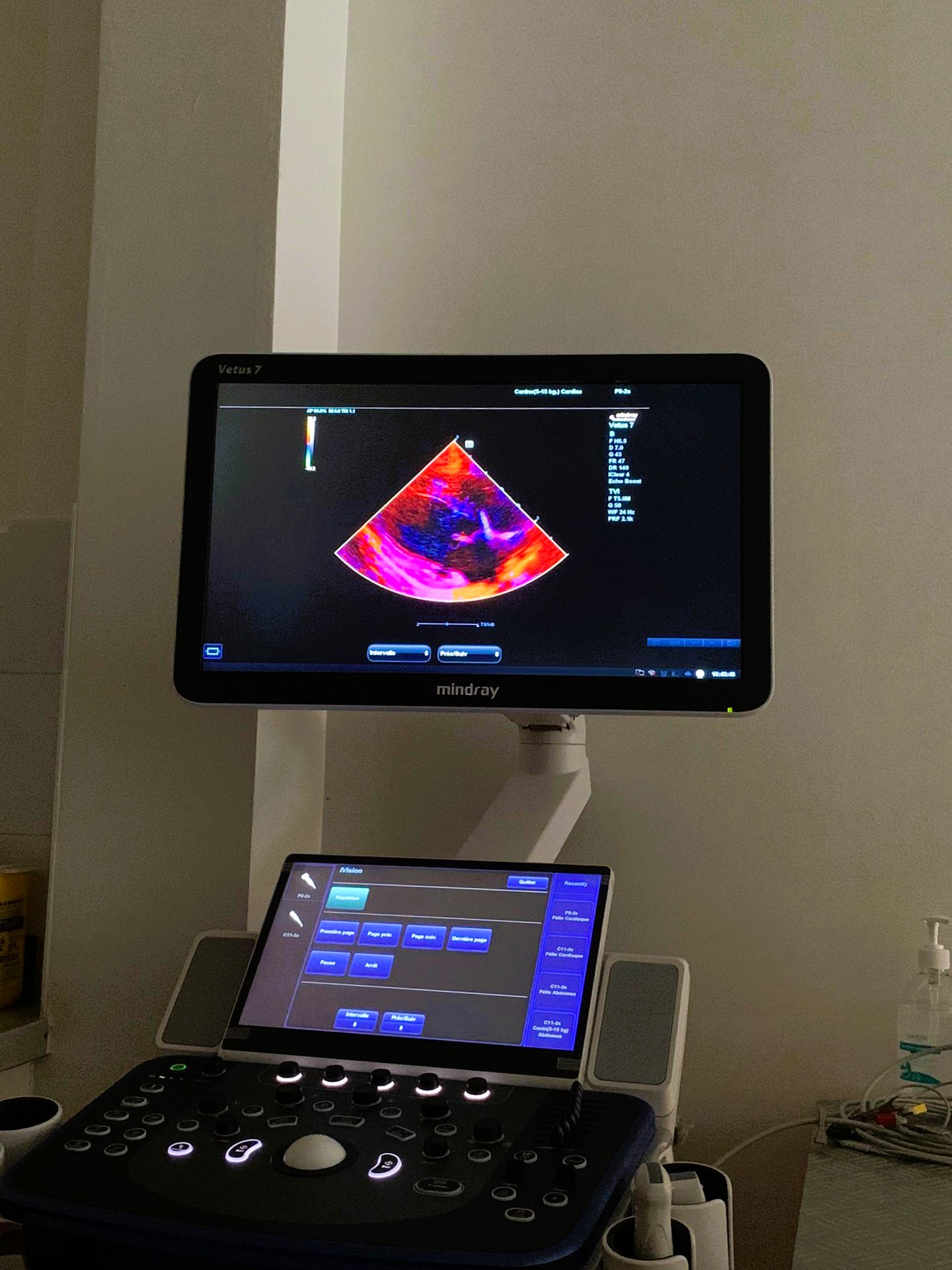 Formation CY-CARCT : Cycle en cardiologie féline